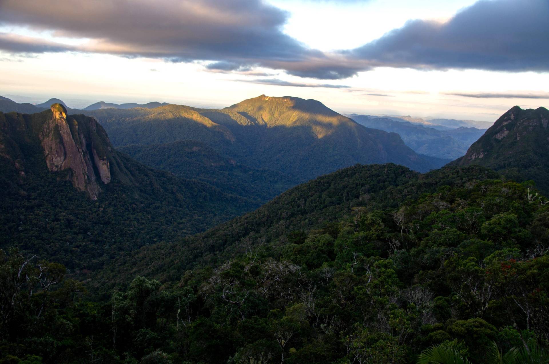 Image of forested mountains and rocky cliffs.