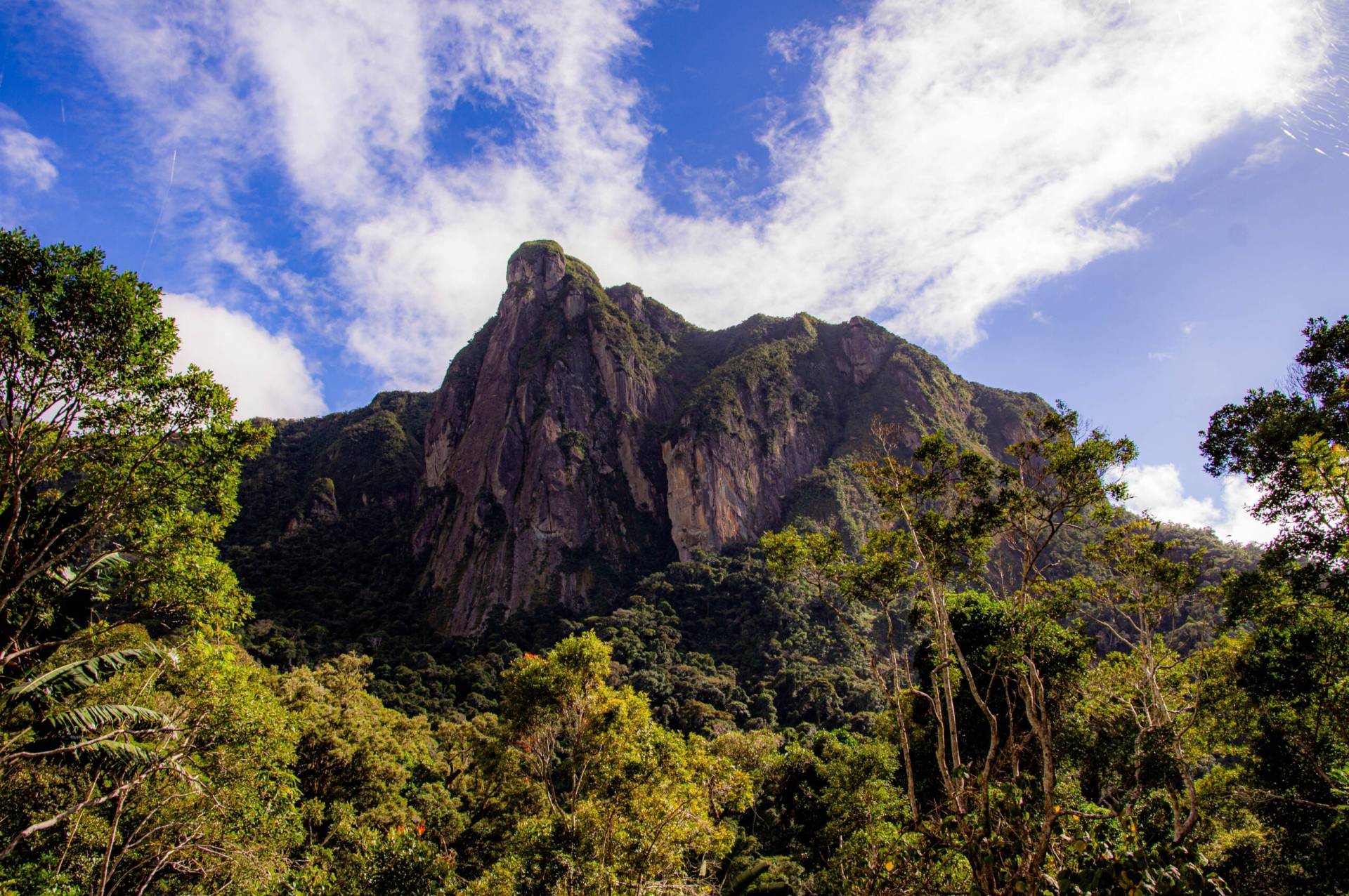 Image of a high, rocky outcrop towering over dense, green forest.