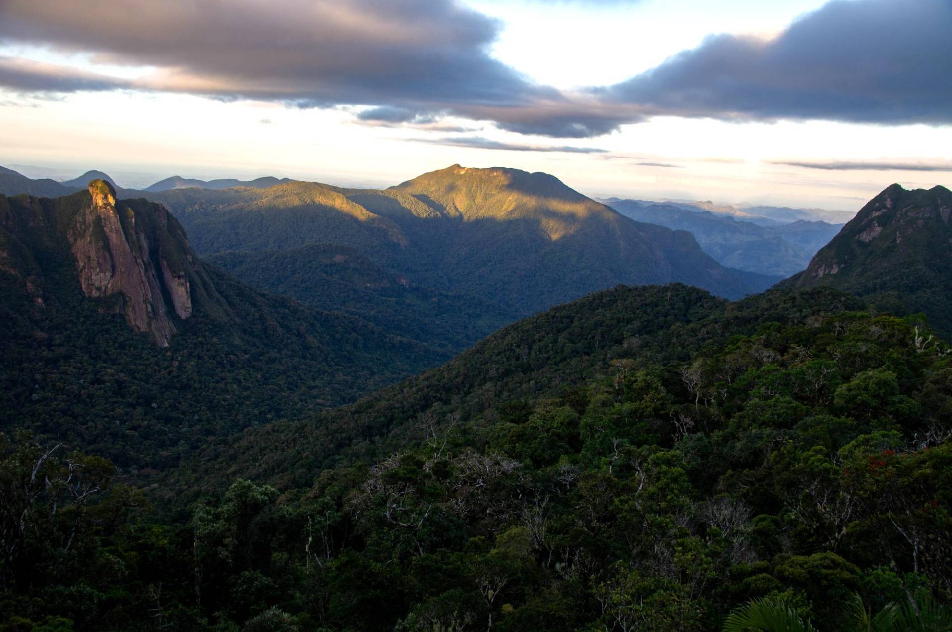Image of forested mountains and rocky cliffs.