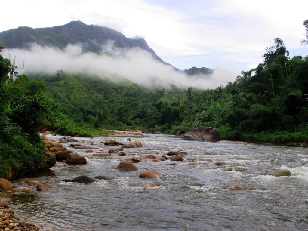 Rushing, rock-strewn river, edged with lush green forest, a steep, gray mountain rises in the distance, rimmed with gauzy clouds