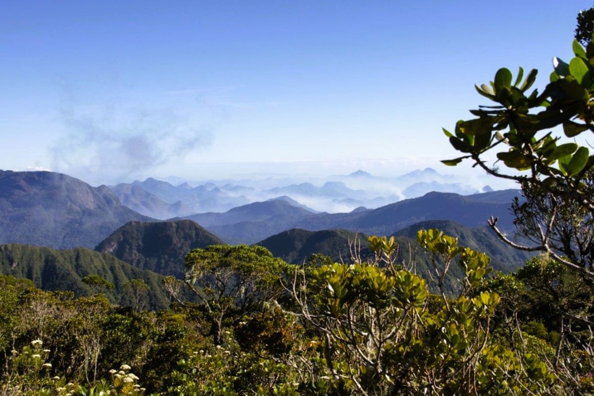 Des collines escarpées couvertes d'arbustes et d'arbres verts s'estompent pour laisser place à de lointaines montagnes bleutées et enveloppées de brouillard.