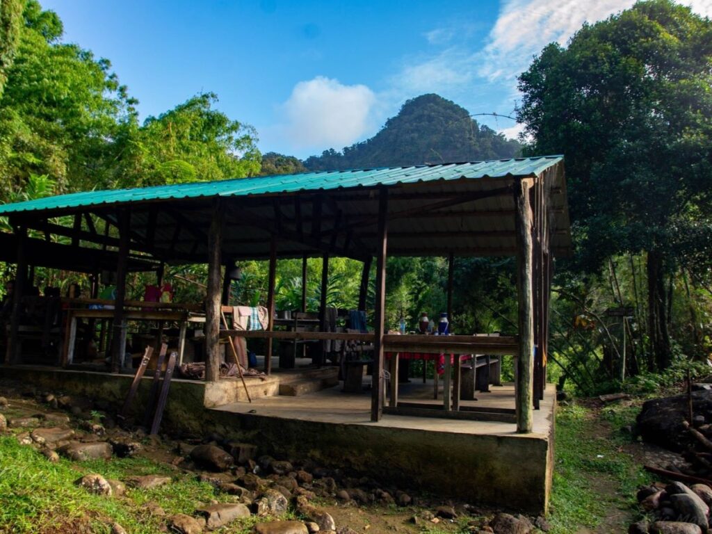 A big, open shelter with green metal roof covers several long wooden tables and benches. The shelter is in a green forest with a pointy mountain in the background