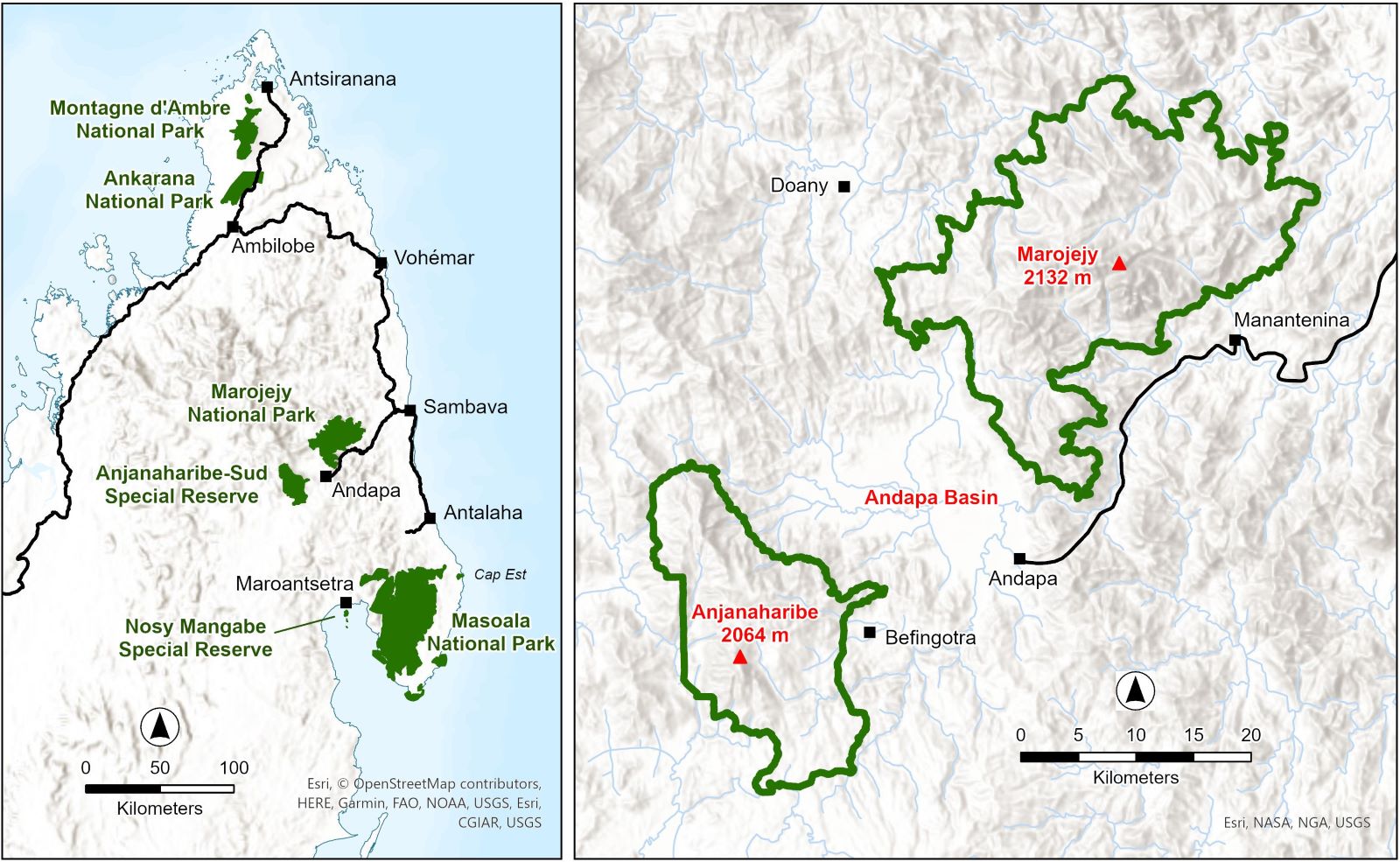 Über den MarojejyNationalpark