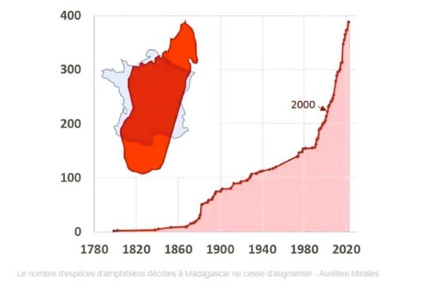 Graphique montrant une très forte augmentation du nombre d'amphibiens décrits à Madagascar