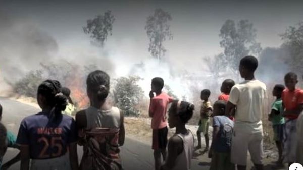 Eine Gruppe von Kindern steht vor einer Szene aus Rauch und Feuer, in der Bäume brennen