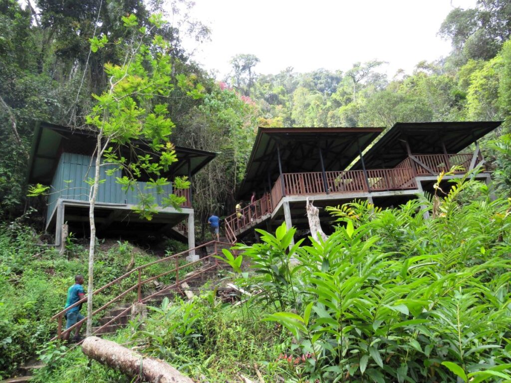 Three covered wooden pavillions are built on stilts on a green, wooded hillside