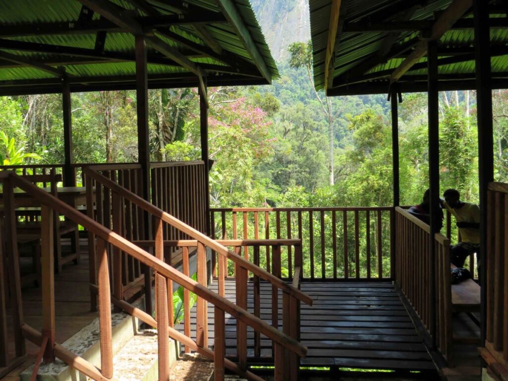A covered wooden deck with several levels is cantilevered over a thickly wooded slope