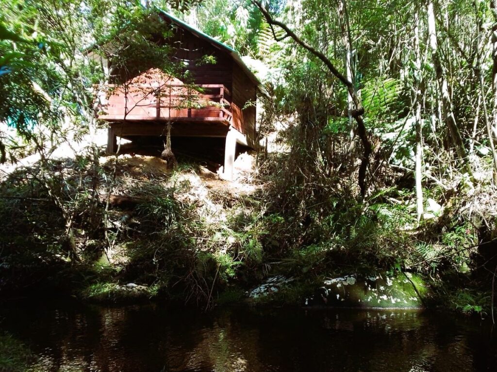 A small cabin with wooden deck extends out over a densely wooded slope with a deep green pool of water at the bottom