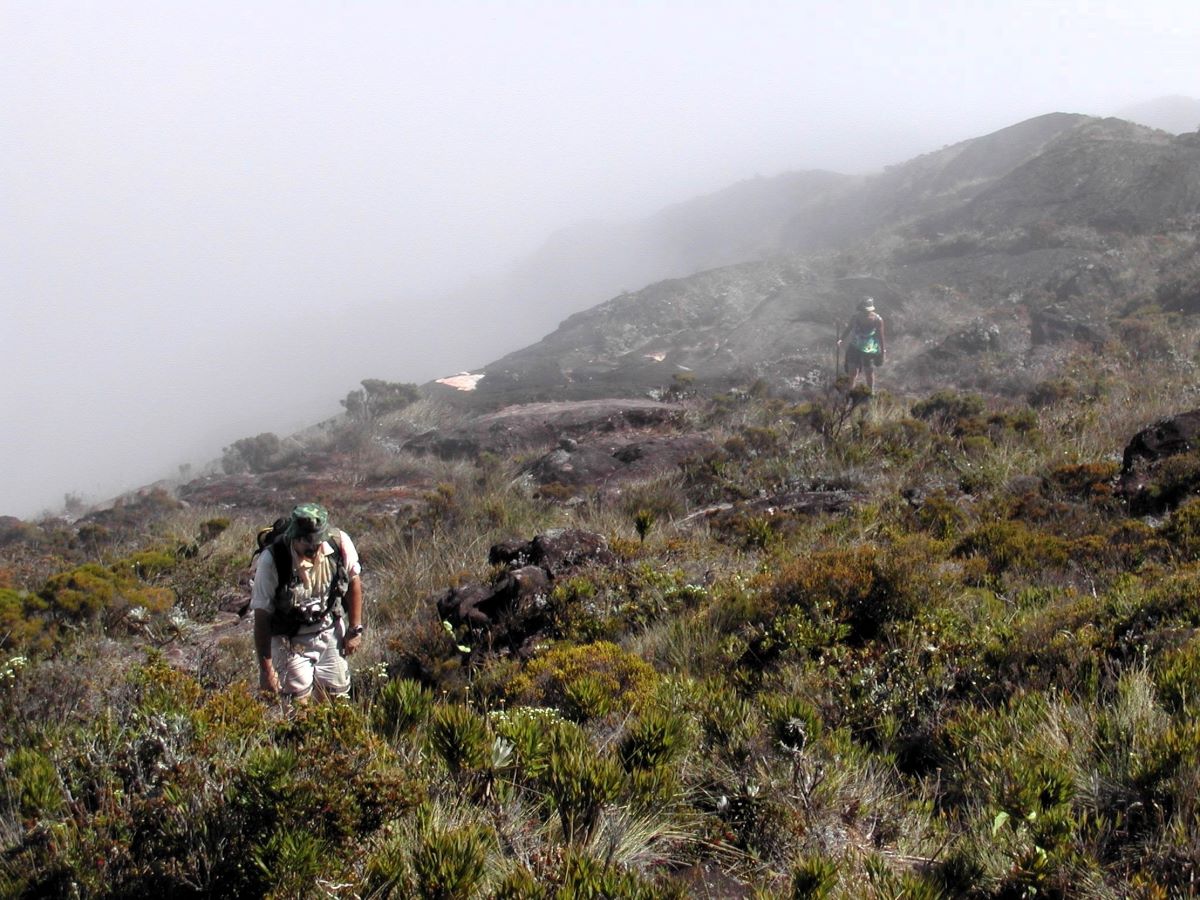 Two people walk through low bushes and grasses in a rocky, mountainous terrain