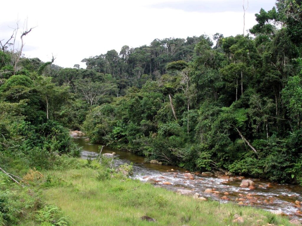 De grands arbres et une prairie verdoyante bordent les rives d'une rivière ondulante.