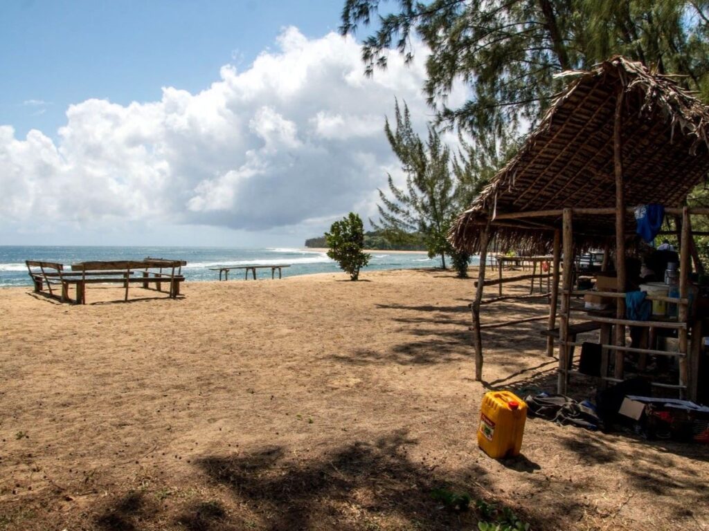 Une petite cabane au toit de chaume et quelques bancs en bois brut se trouvent sur une plage. Une forêt verte s'étend au-delà de la plage.