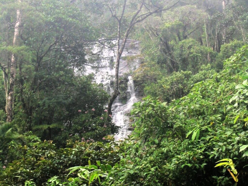A wide, cascading waterfall is partially obscured by mist and thick green vegetation