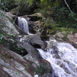 Marojejy cataracts