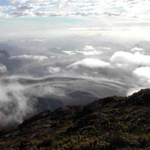 Lenticular clouds from summit