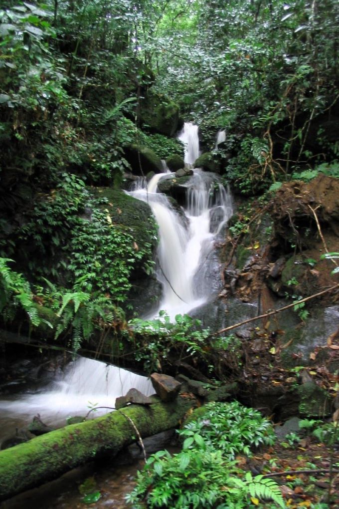 Cascade near Camp Mantella