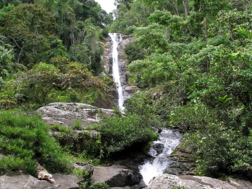 A high, thin waterfall cascades down a rock face with green jungle on either side.