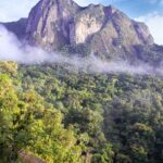 Ambatotsondrona, vue de / seen from Camp Marojejia