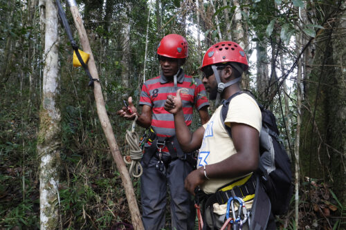 Two men in red helmets are standing in a forest.