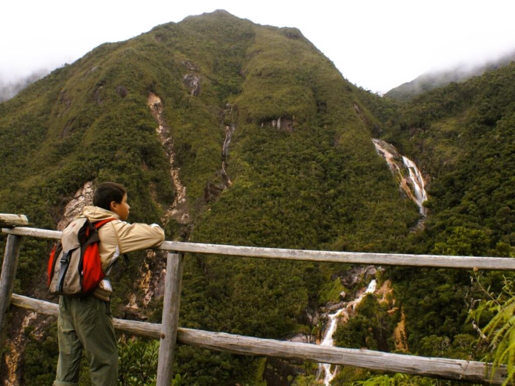 A boy with a red pack leans on a wooden rail, looking out across a valley to a series of cascades pouring off a green, forested mountain.