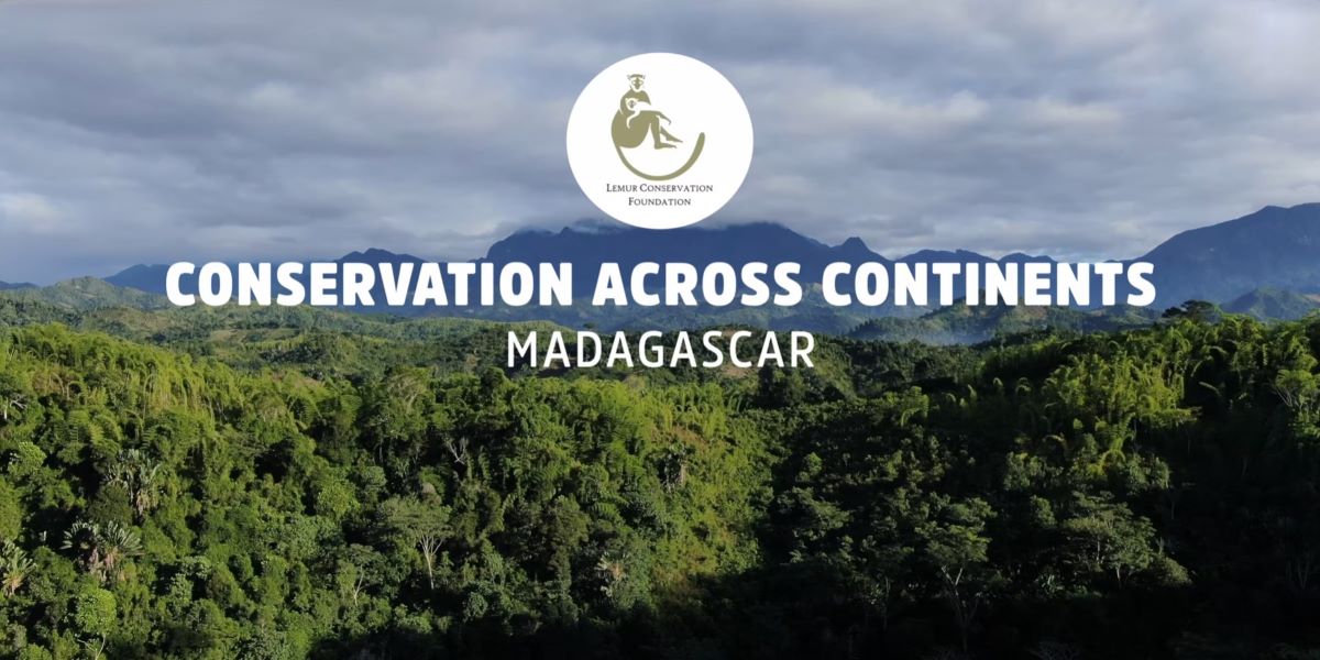 LCF Conservation Across Continents film title