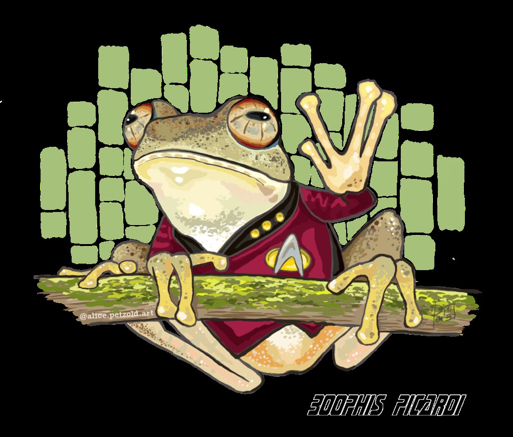 Drawing of a frog dressed as Captain Jean-Luc Picard of Star Trek fame