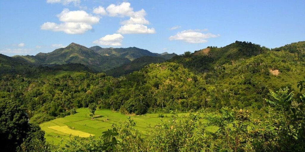 Swidden agriculture in the mountains around Marojejy National Park