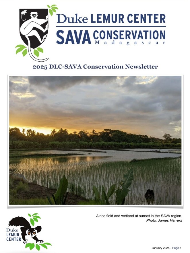 Cover page of Duke Lemur Center SAVA Conservation Newsletter, 2025