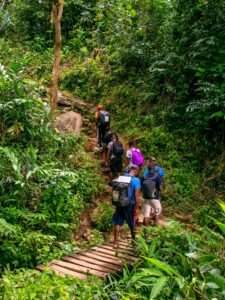 A line of people cross a wooden plank bridge and walk up a steep trail in a lush, green forest.