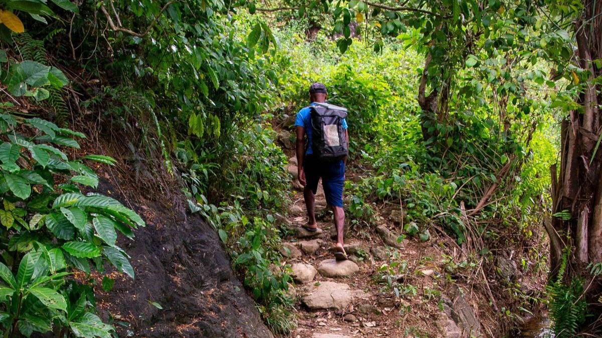 Ein Mann mit einem blauen Tagesrucksack geht einen schmalen Pfad im tiefen Dschungel entlang.
