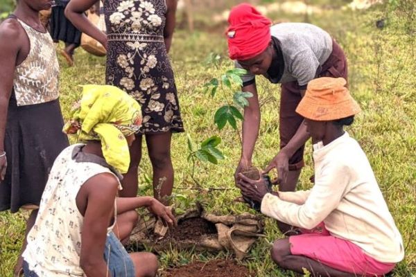 Three women plant a small tree seedling.