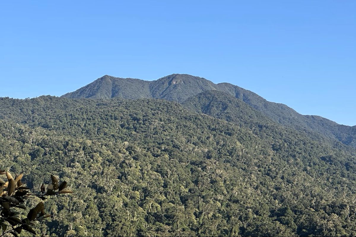 A large, forested mountain sits under a bright blue sky.